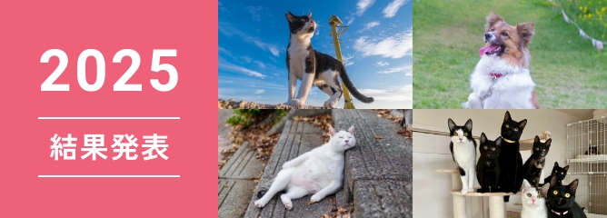 2025結果発表