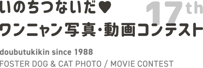 いのちつないだ ワンニャン写真・動画コンテスト