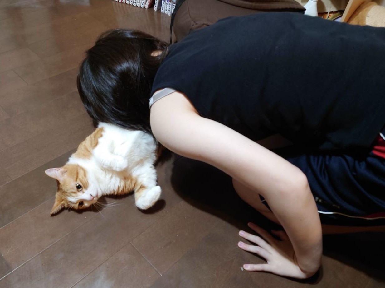 猫はお吸いもの