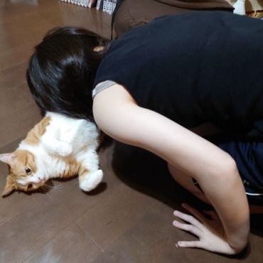 猫はお吸いもの