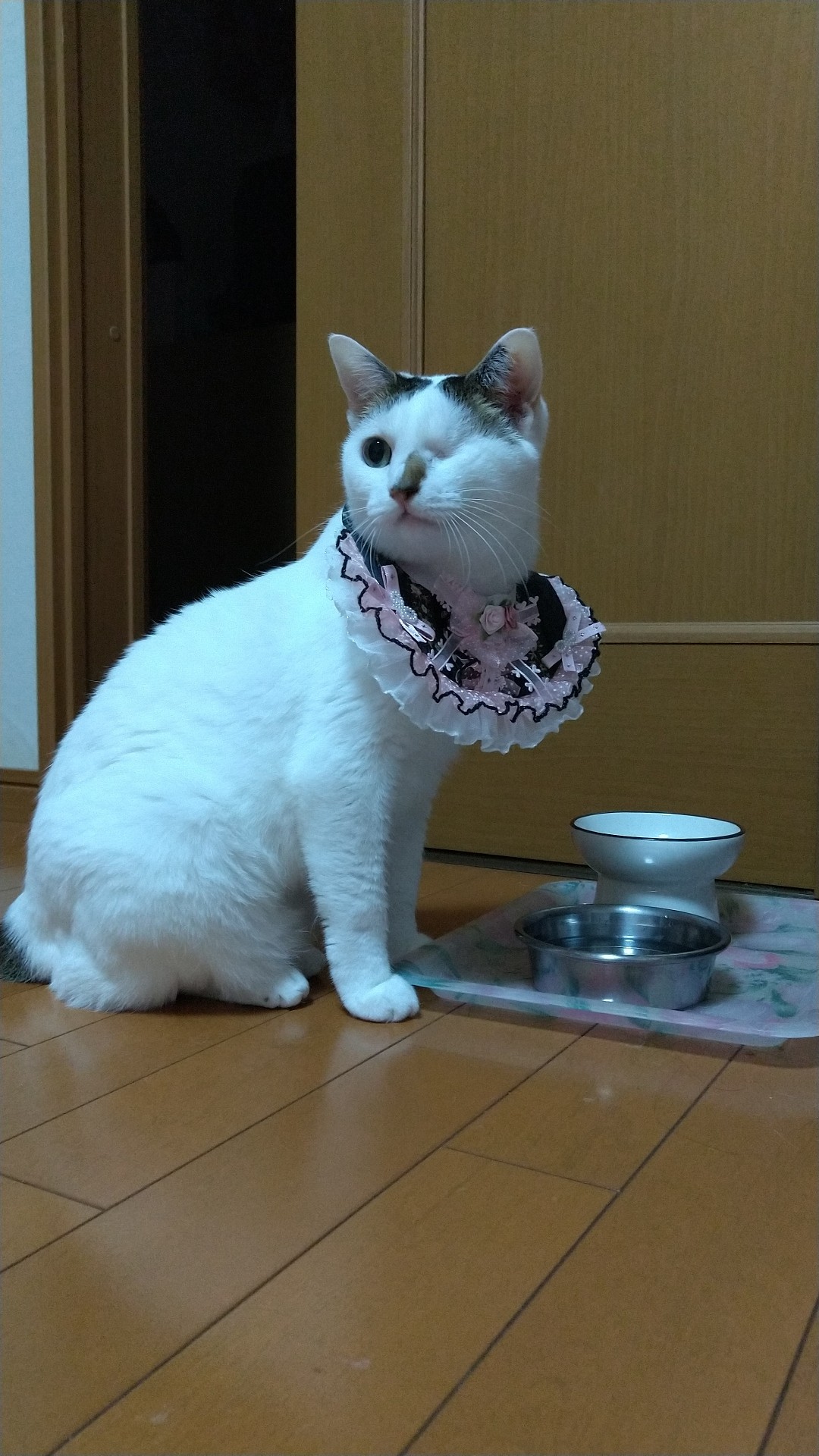 うちにきてくれてありがとう