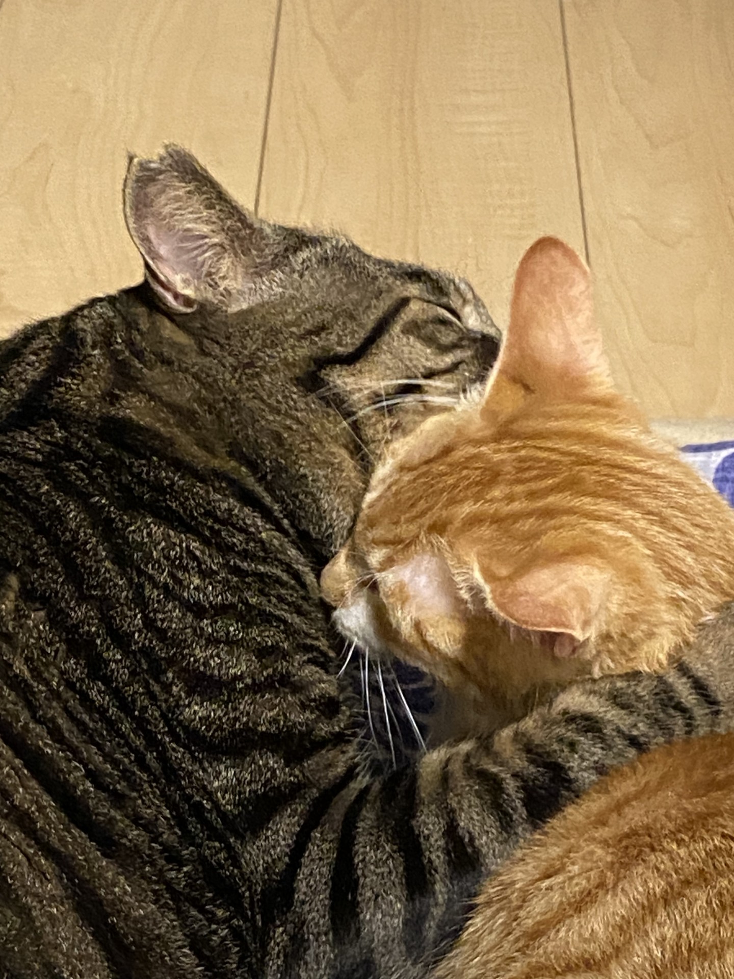 ずっと一緒にいようね