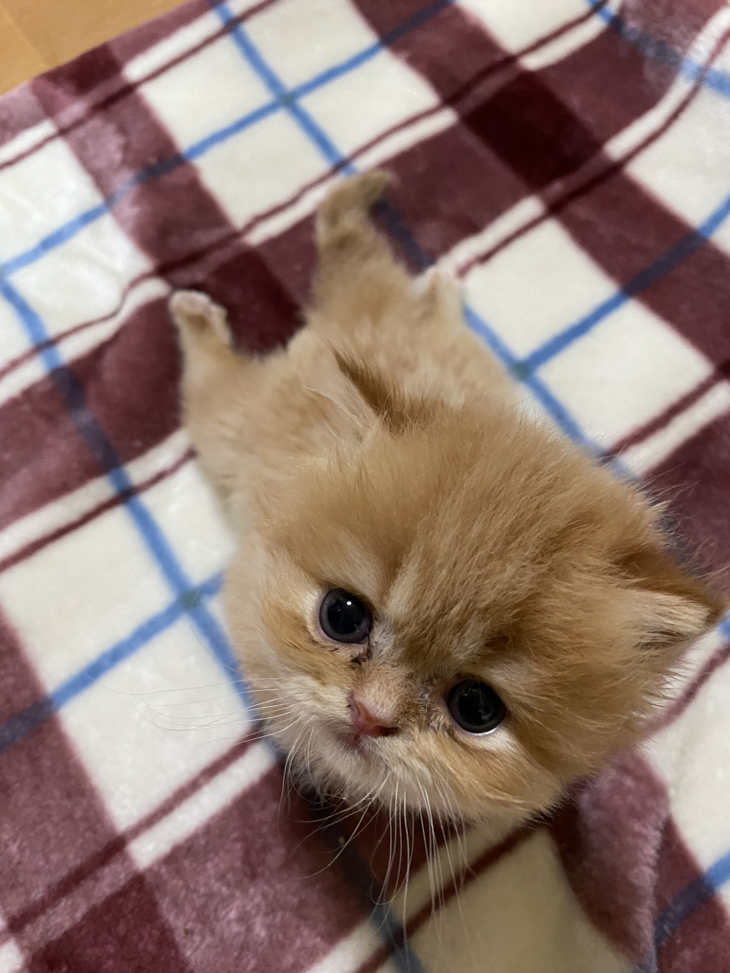 困難を乗り越えて、いのちつないだ！