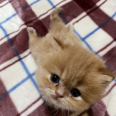 困難を乗り越えて、いのちつないだ！