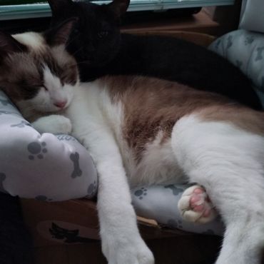 仲良しになりました😸