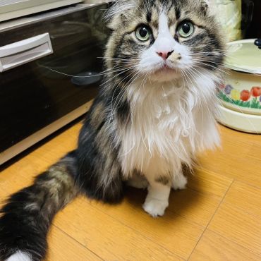 家族に福がきた