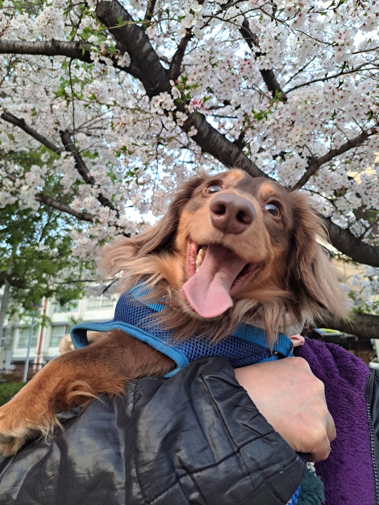 笑顔満開！