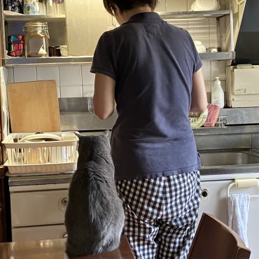 おかあさんご飯まだ？