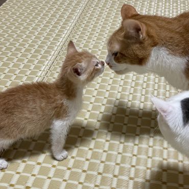はじめまちて
