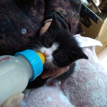 ミルク美味しいね
