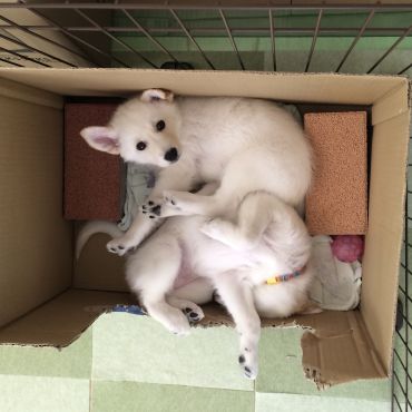 寝てる時は天使！起きたら、、、