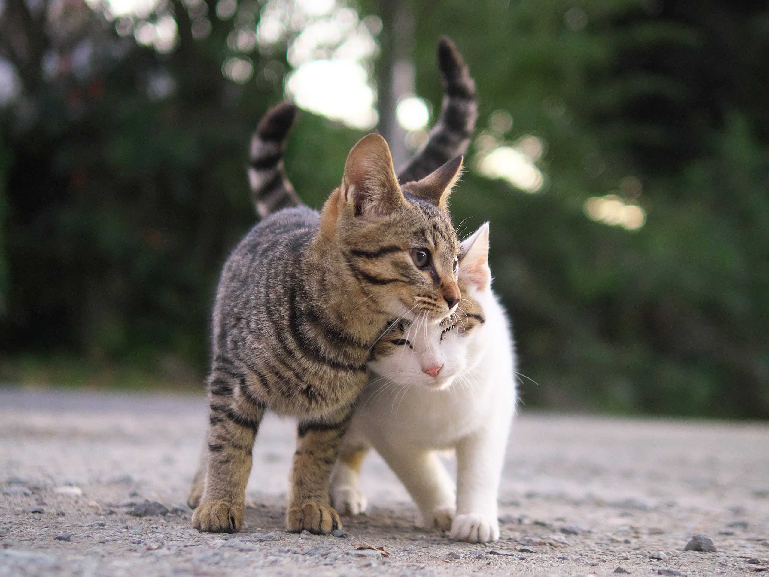 遊ぼうよ