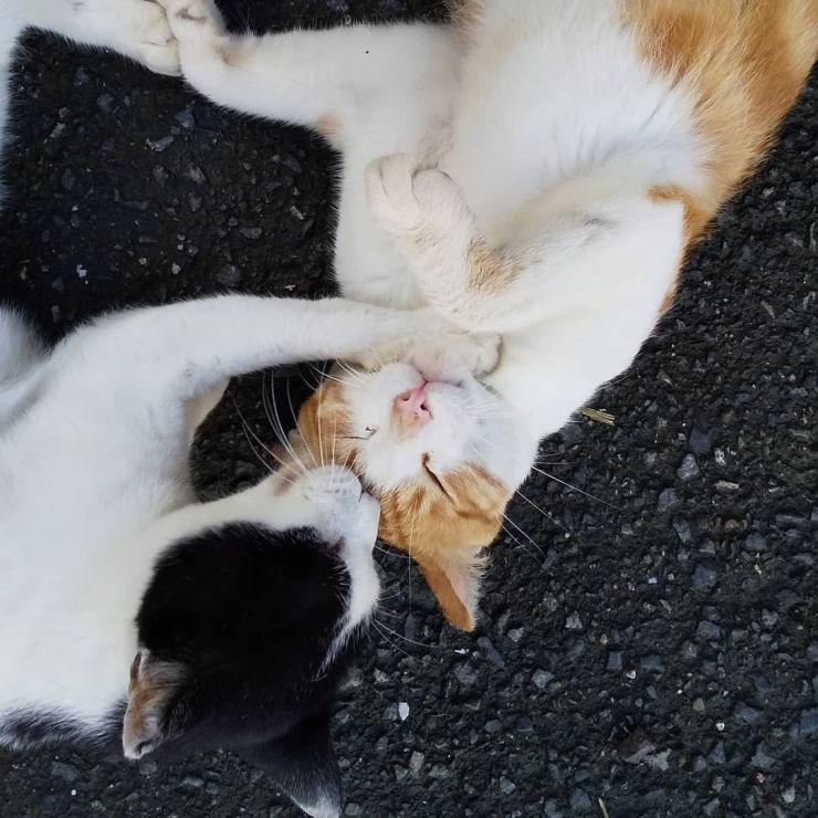 穏やかなひととき