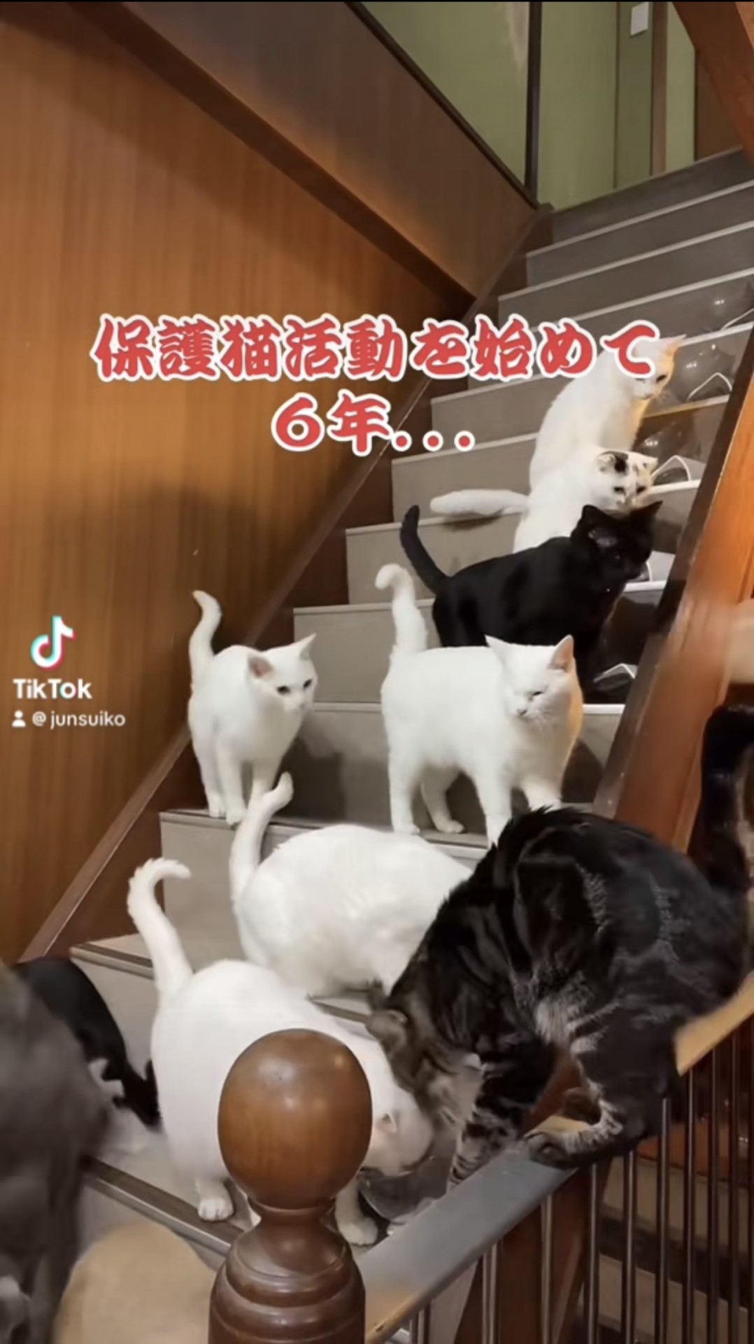 保護の現実