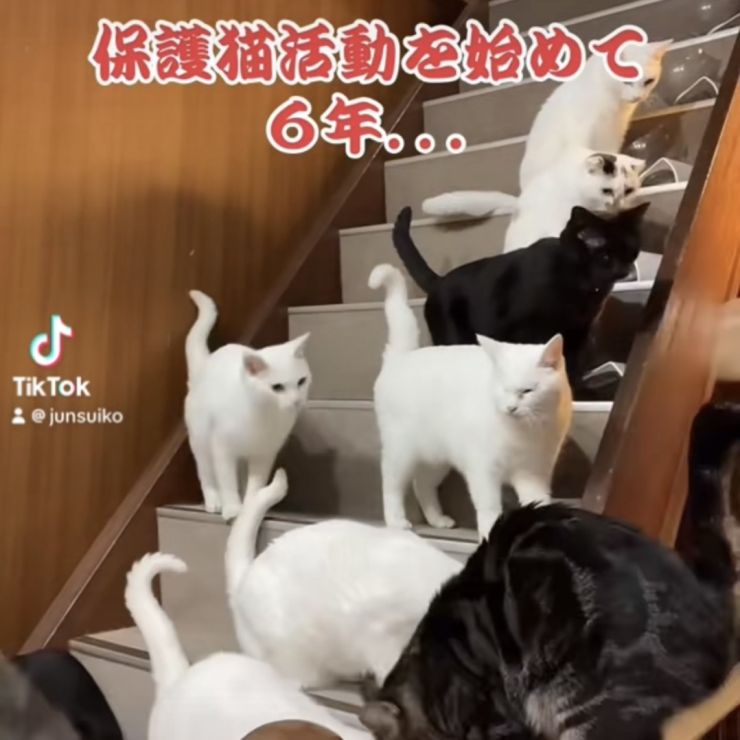 保護の現実