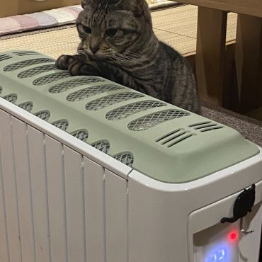 暖をとるお婆ちゃん(猫)