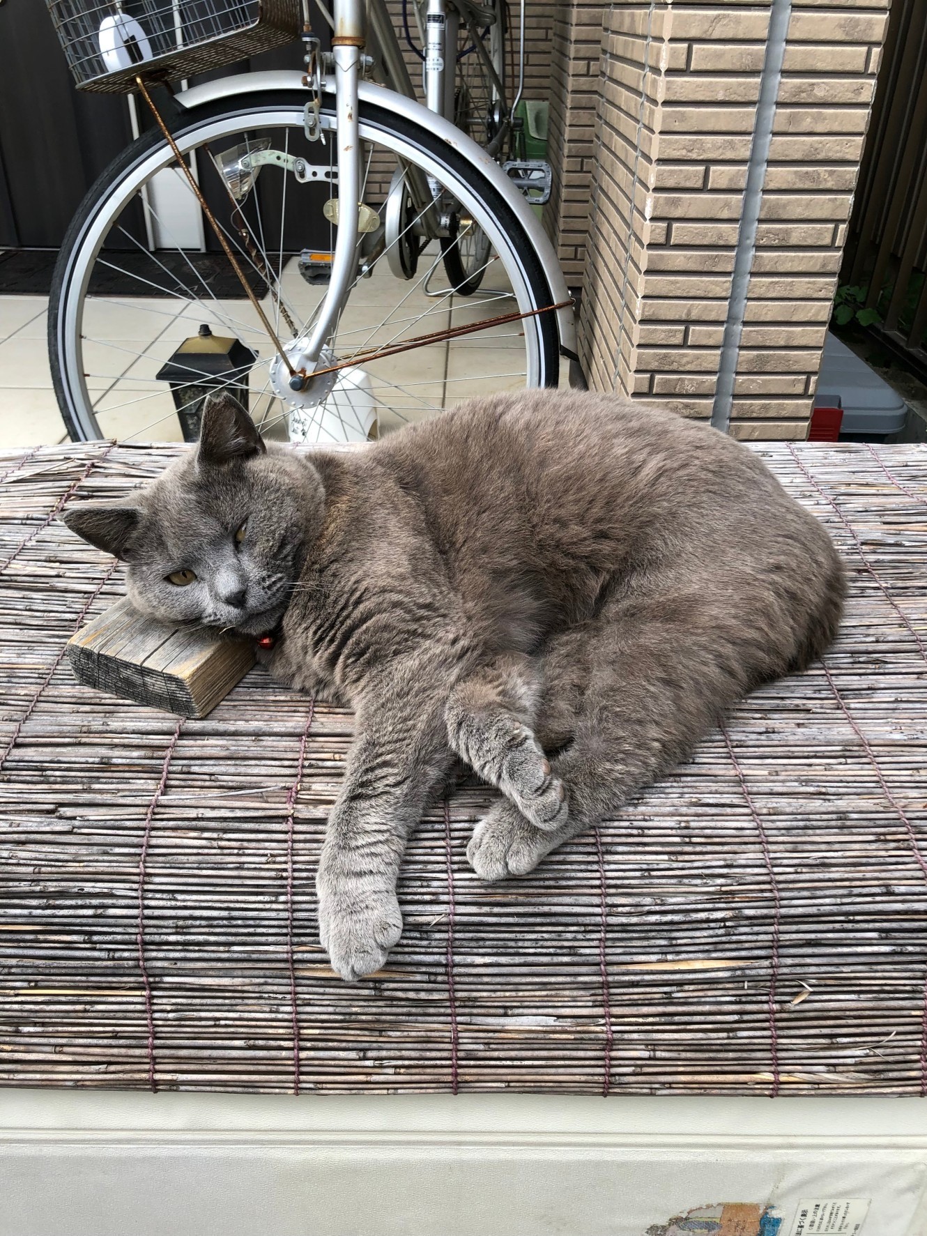 お昼寝中