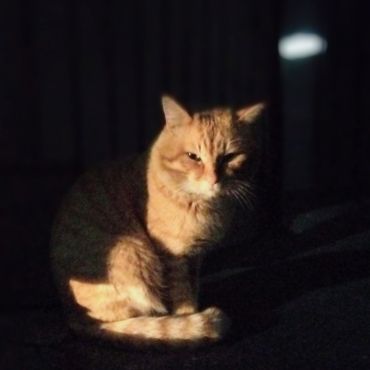 暗闇太郎