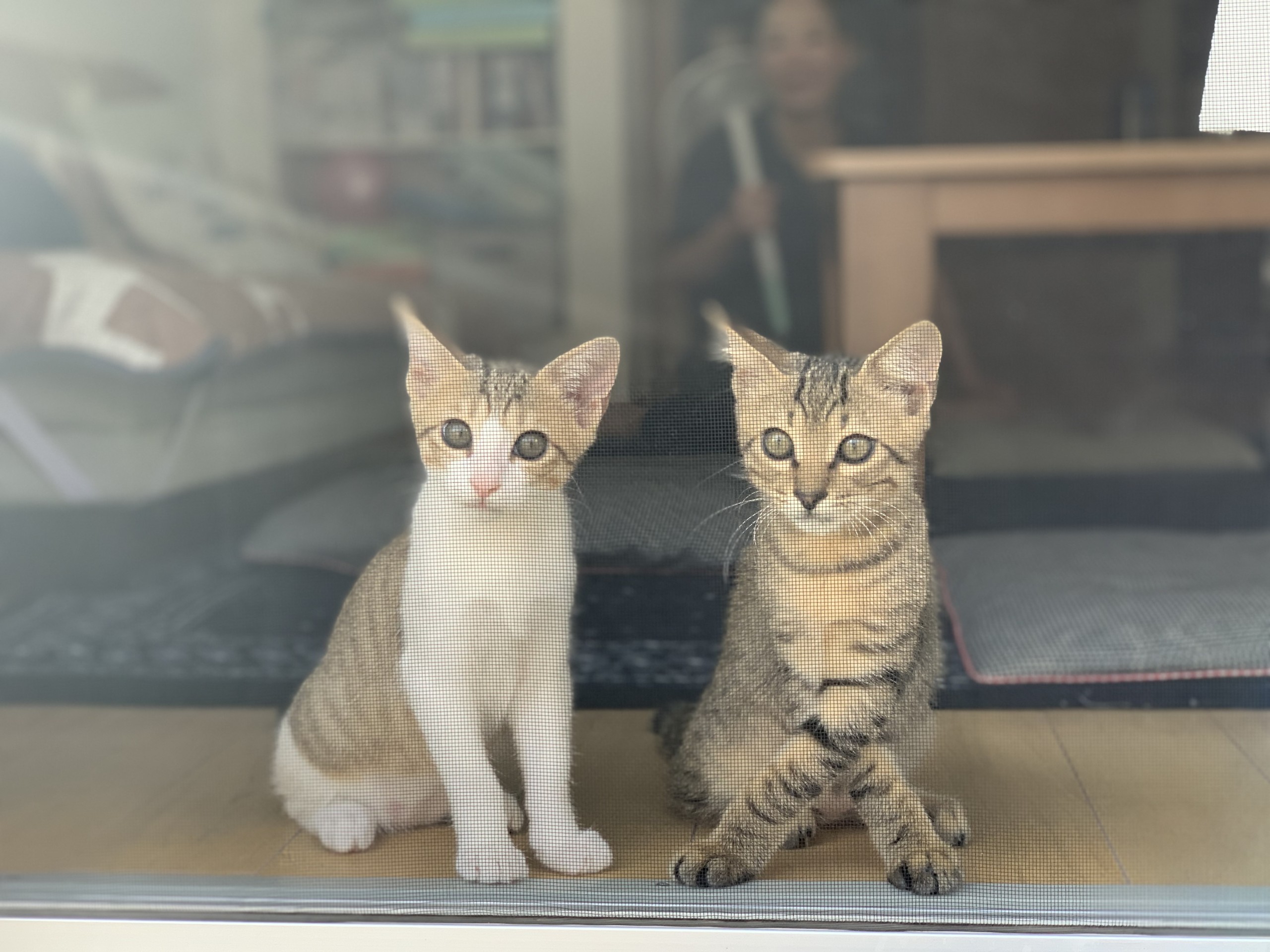 お出迎え
