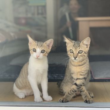 お出迎え