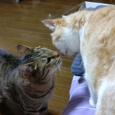 よろしくね！