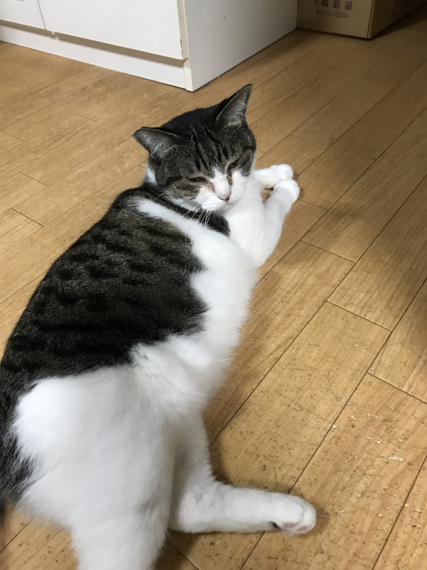 元気になった