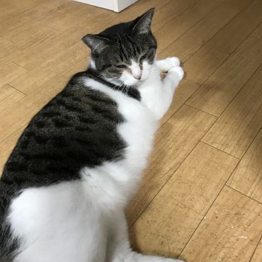 元気になった