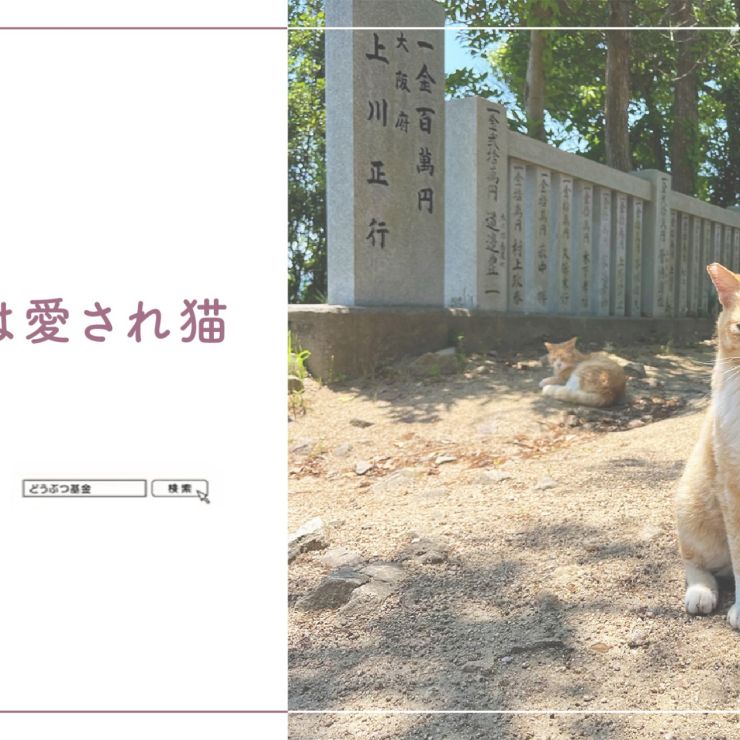 男木島の猫