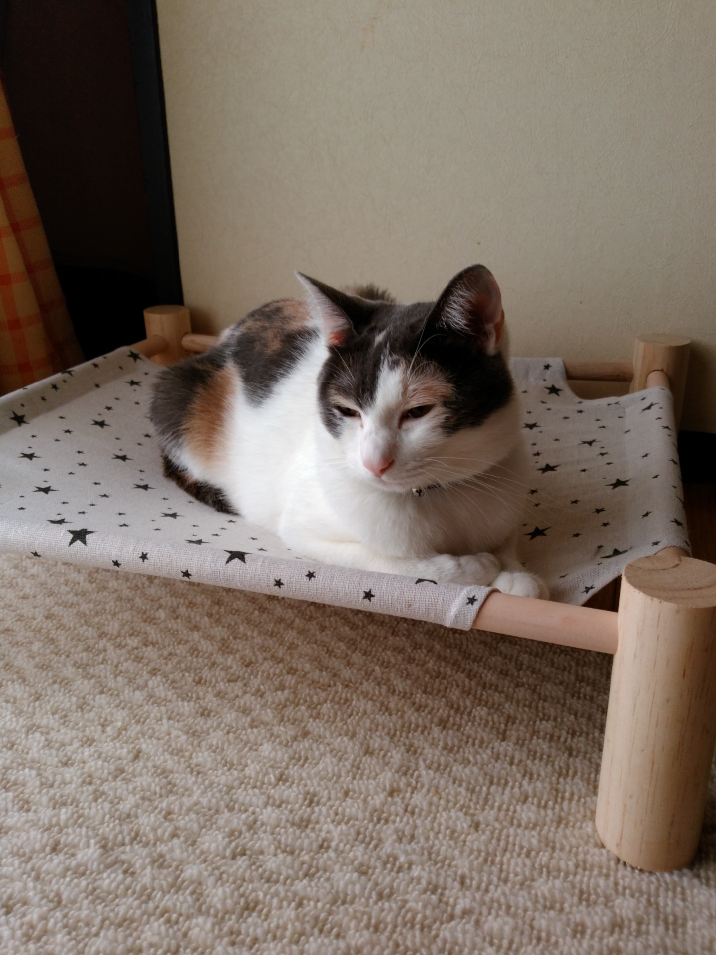 ひと休み