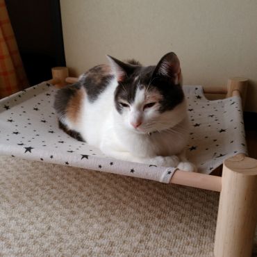 ひと休み