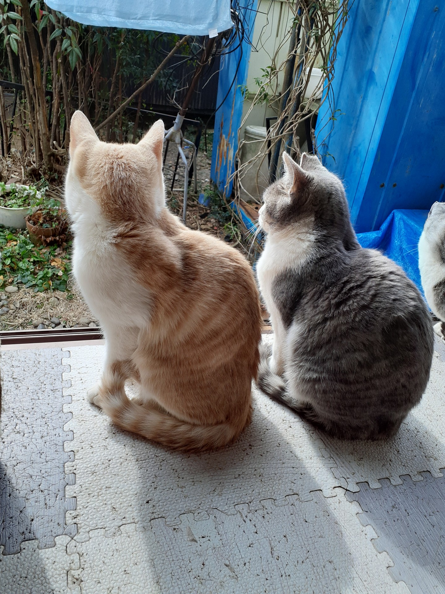 次は僕だね。