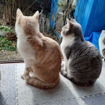 次は僕だね。