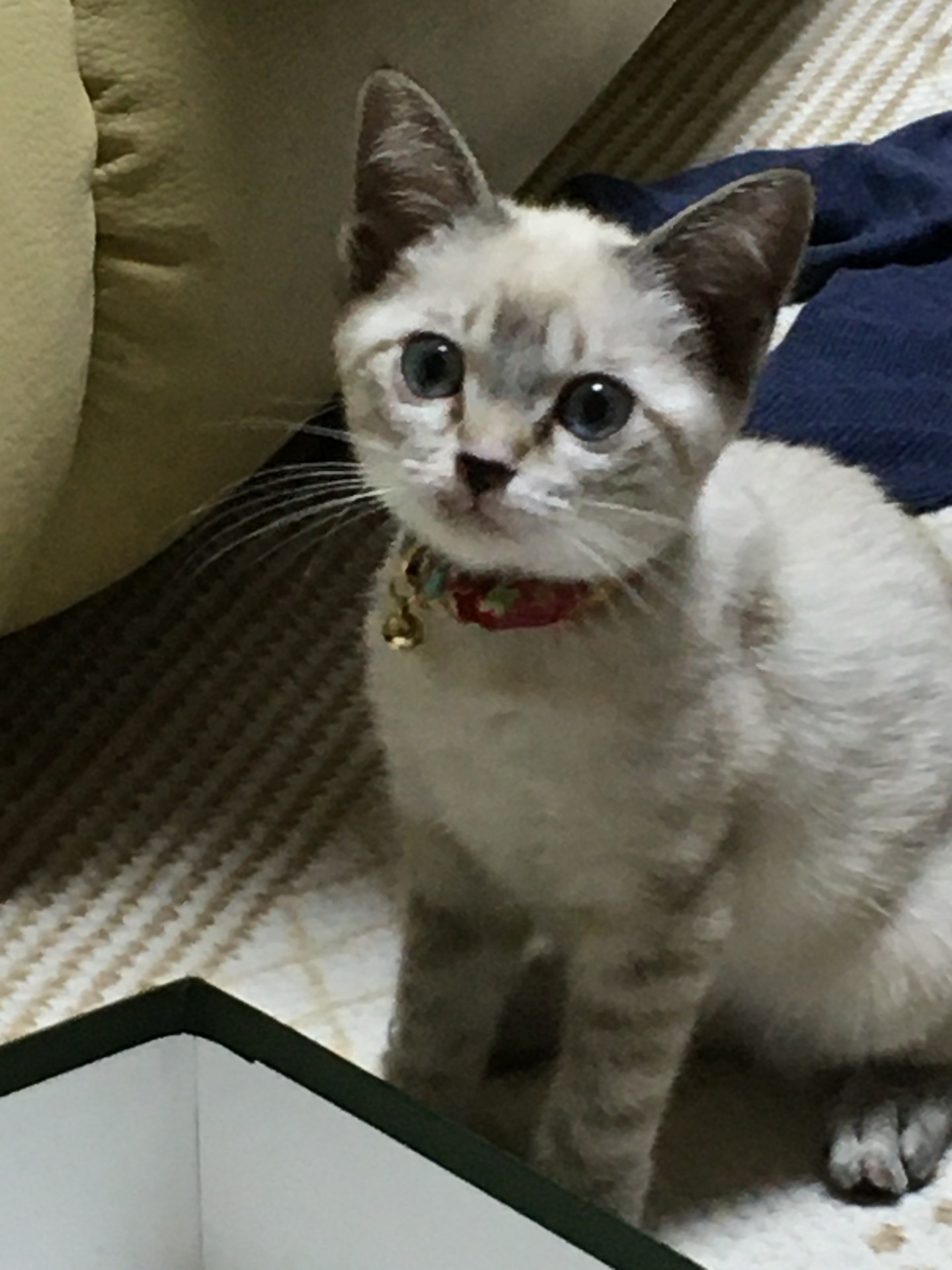 会えてよかった