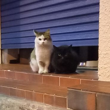 長年の付き合い(=^・^=)