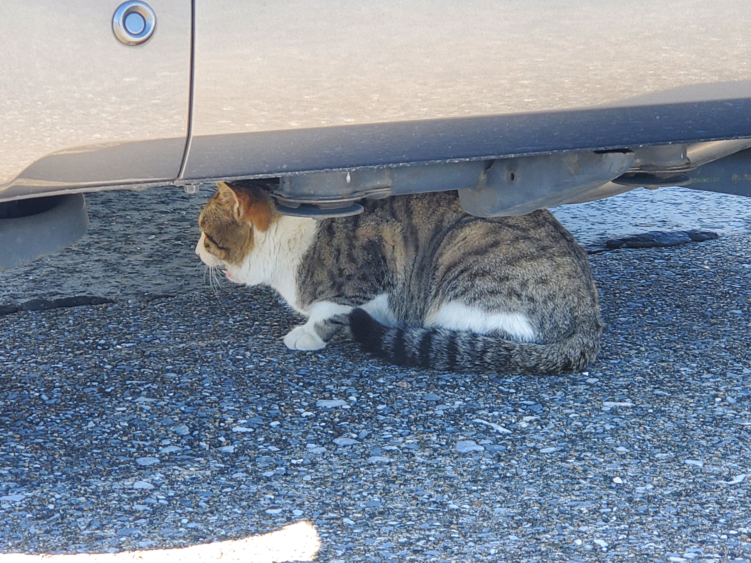 この下が一番落ち着くんだ