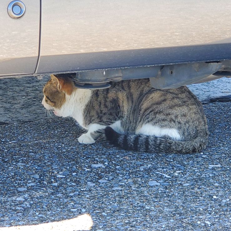 この下が一番落ち着くんだ