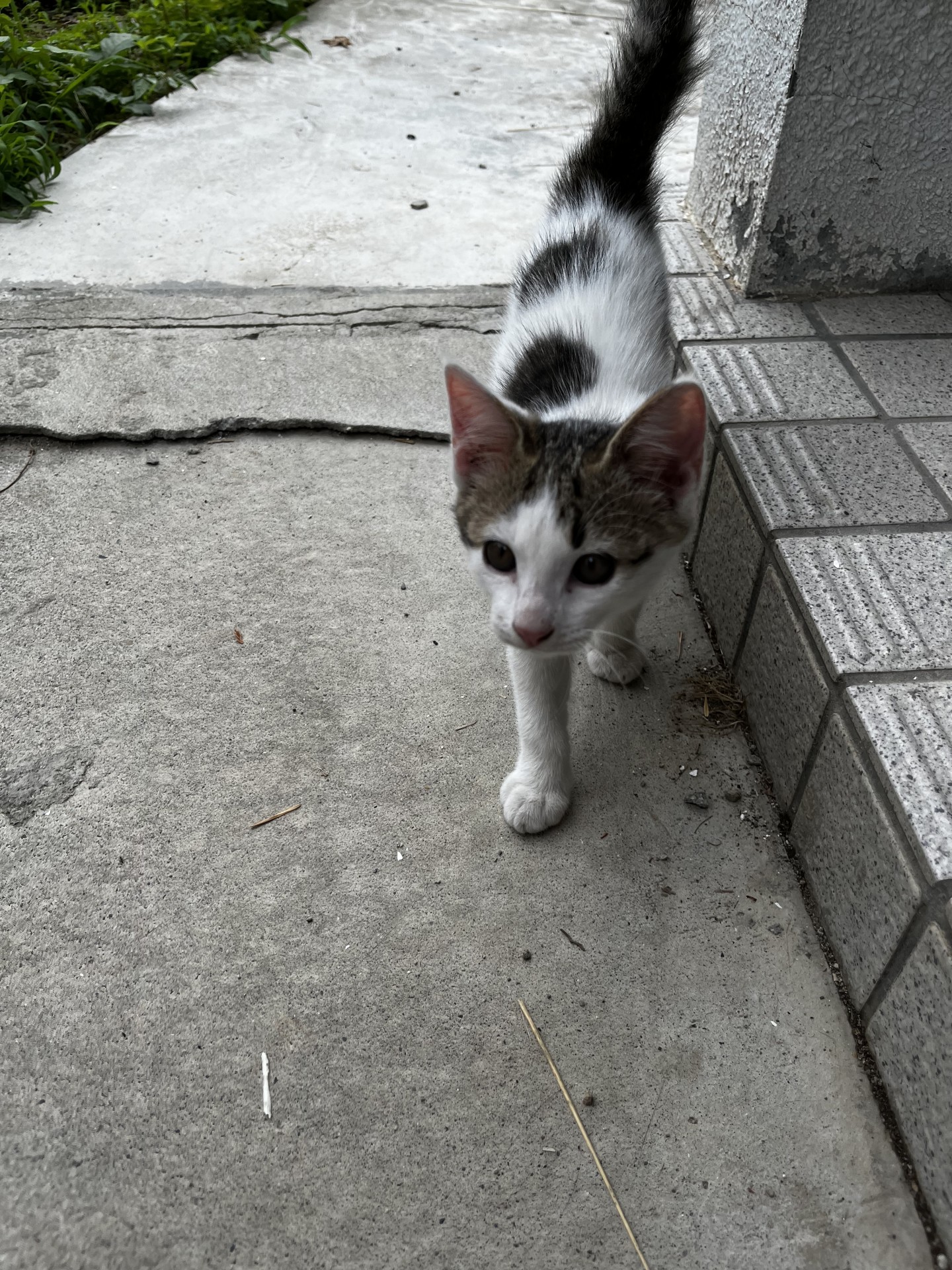 これから、どんな日々が待ってるかなぁ🎵