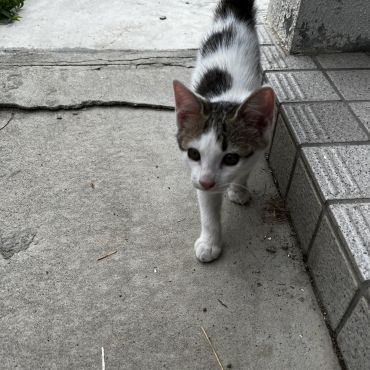 これから、どんな日々が待ってるかなぁ🎵