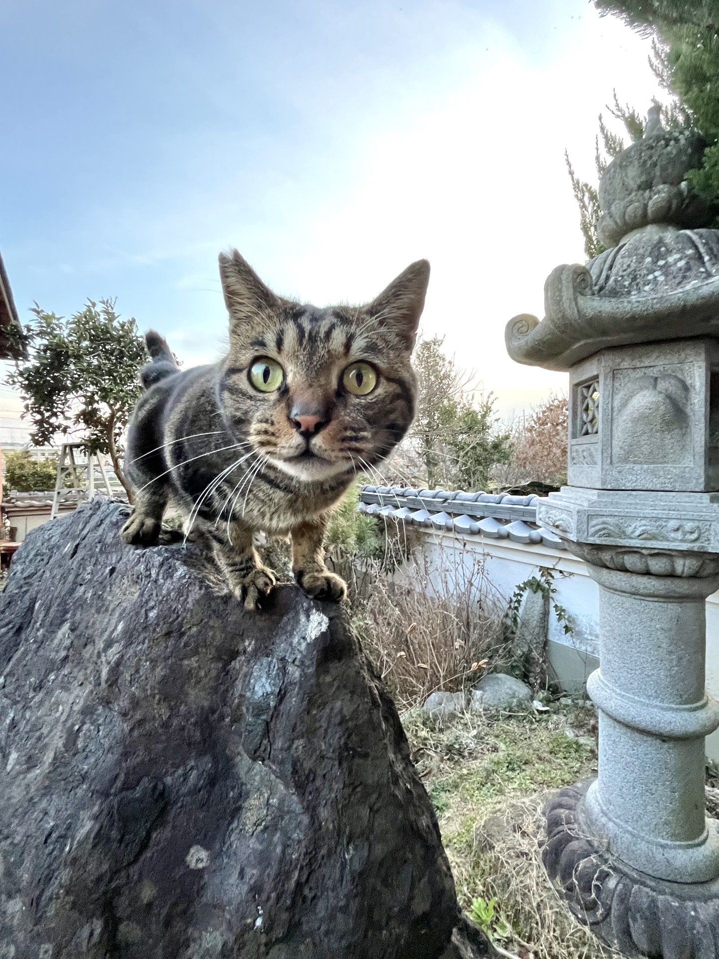 パトロール中