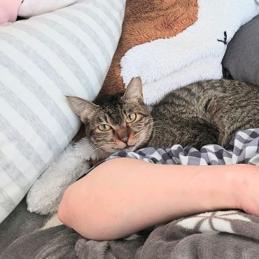 うふふ
