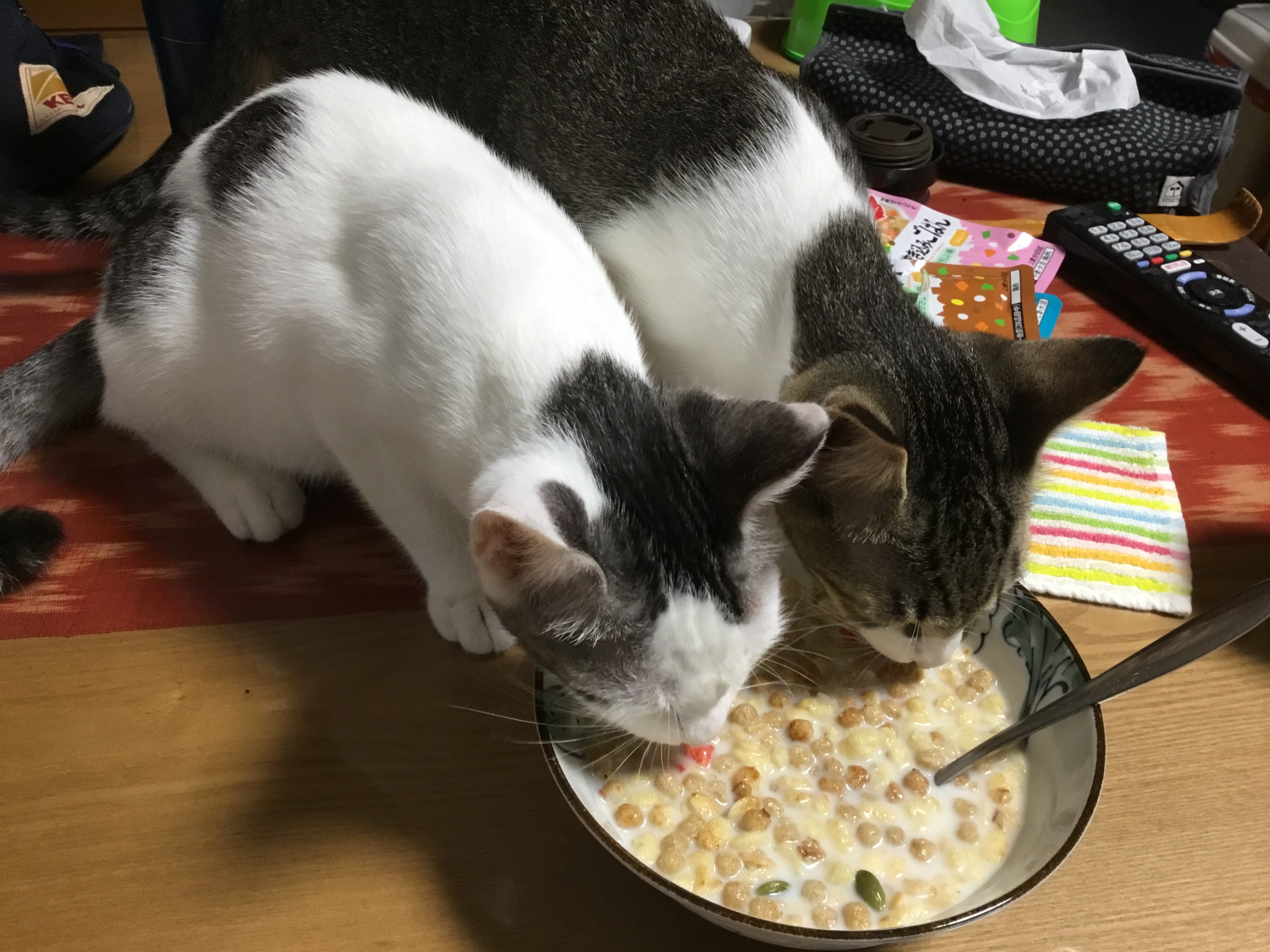 漁港出身いたずら姉妹