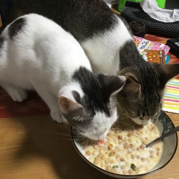 漁港出身いたずら姉妹