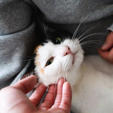 抱っこ大好き