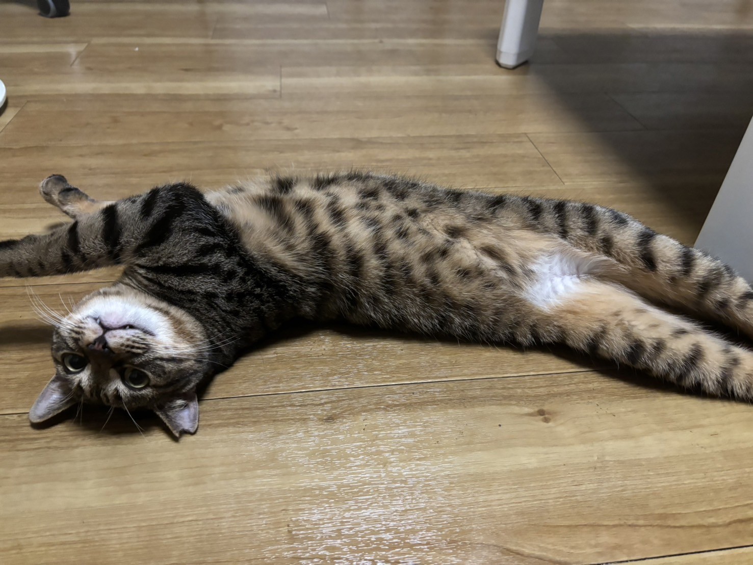 顔っ！(笑)