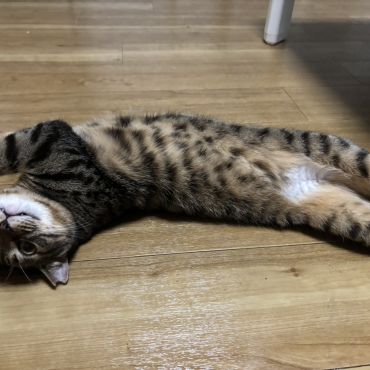 顔っ！(笑)