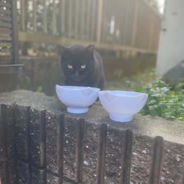 いただきまーす