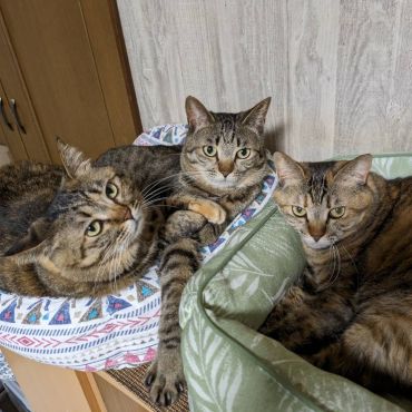 産まれた時からずっと一緒だよ