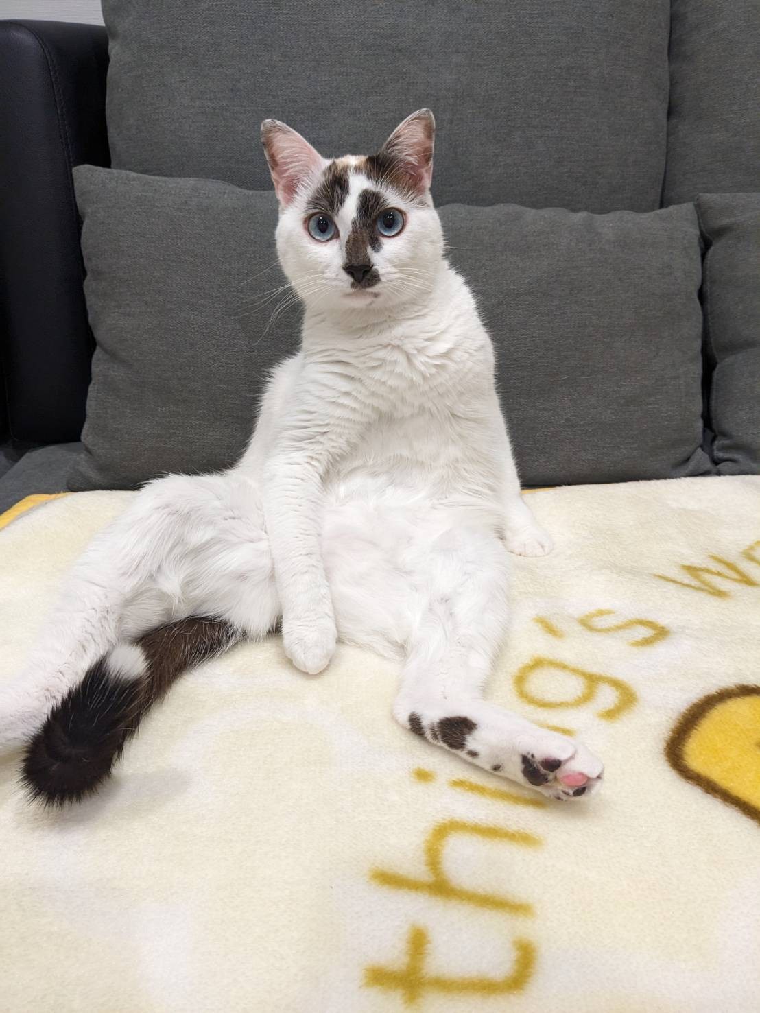 くつろぎ