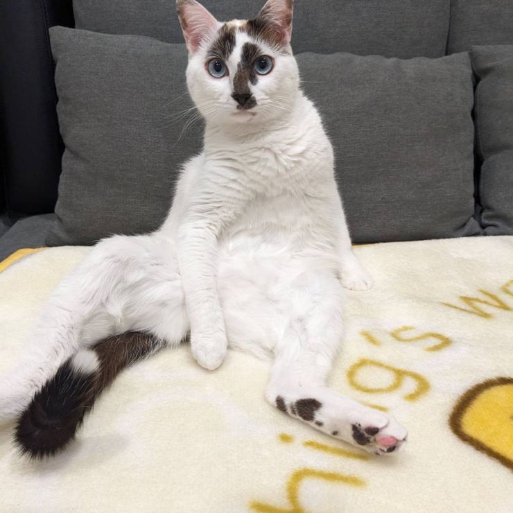 くつろぎ