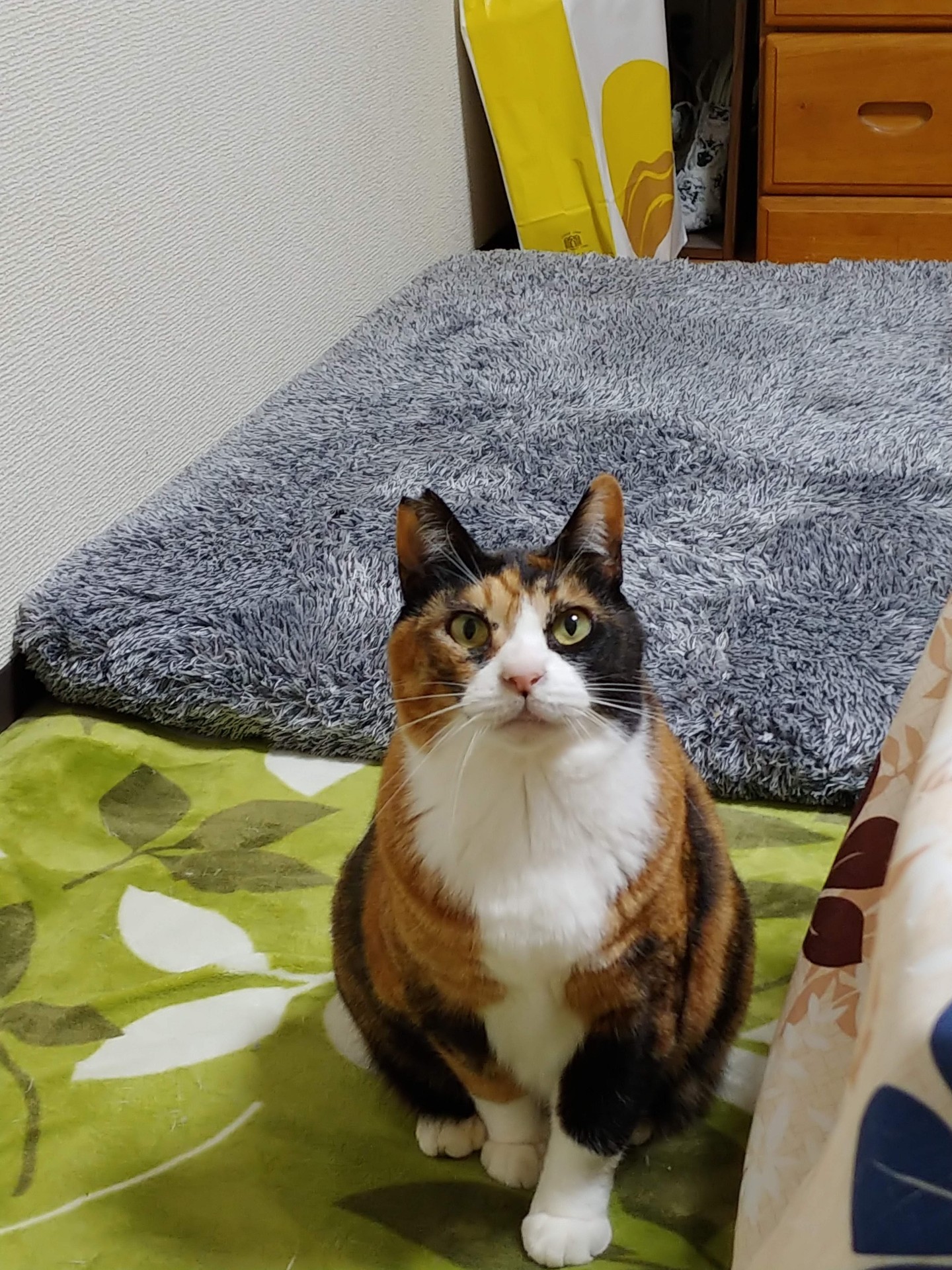 信じてくれてありがとう